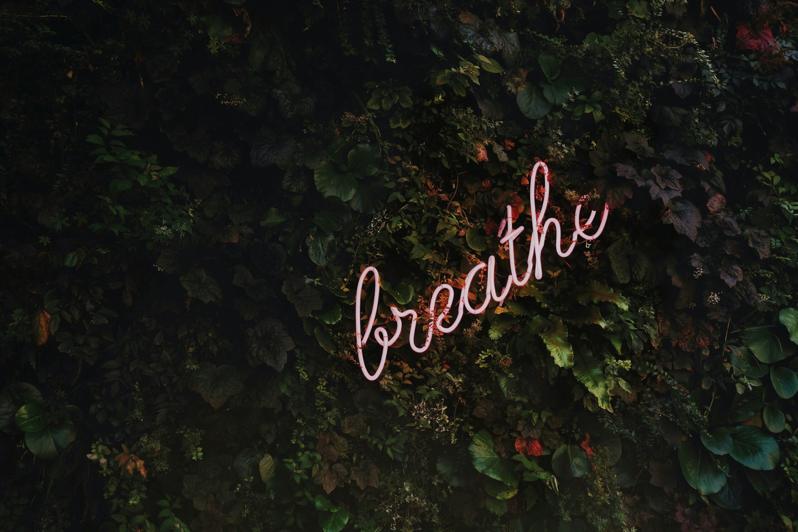 breathwork canberra